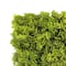 10" Faux Moss Mat by Ashland®